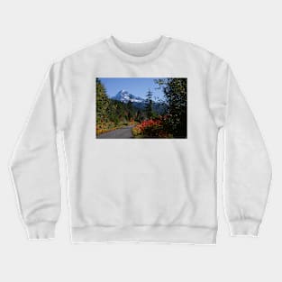 850_2699 Crewneck Sweatshirt